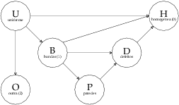  tiposdetransb.1 