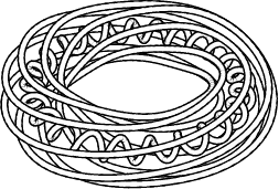  torus.5 